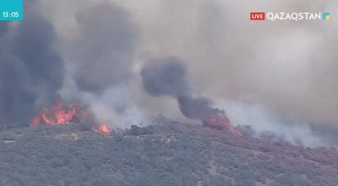 Калифорния штатындағы өрт фермаларға қауіп төндіріп тұр