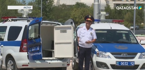 Маңғыстау облысының полицейлеріне 38 су жаңа көлік берілді