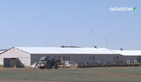 Шағын және орта бизнеске берілетін несие көлемі ұлғайды