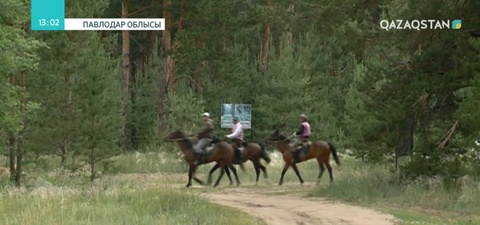Павлодар өңірінде атты туризм қарқынды дамып келеді
