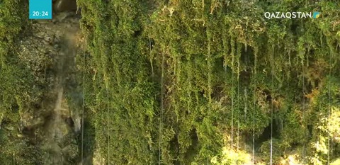 Алматы облысындағы Тамшыбұлақ қайнары Қазақстанның сакралды географиясы тізіміне енді