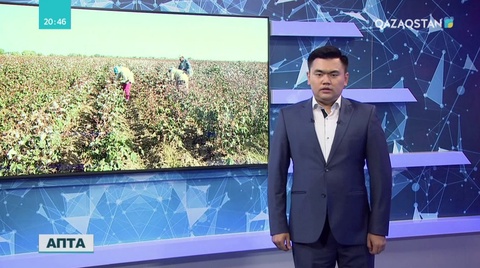 Шавкат Мирзиёев билік басына келгелі не өзгерді?