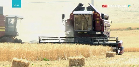 Түркістан облысында астық ору науқаны басталды