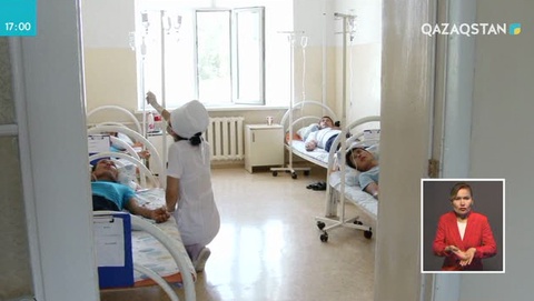 Түркістан облысында 25 адамды қарақұрт шағып, ауруханаға түсті