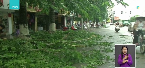Қытайдың Хайнань провинциясына тропикалық дауыл соққы берді