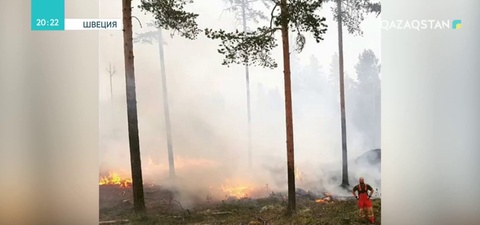 Швецияда ыстықтан өрті 50-ден астам өрт ошағы тіркелді