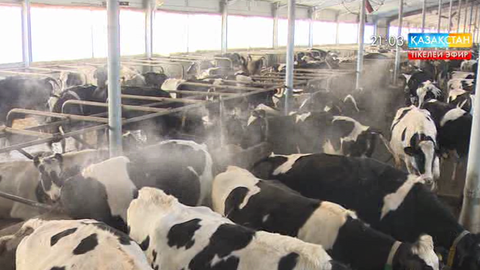 Ауыл шаруашылығының дамуы қарқын алды