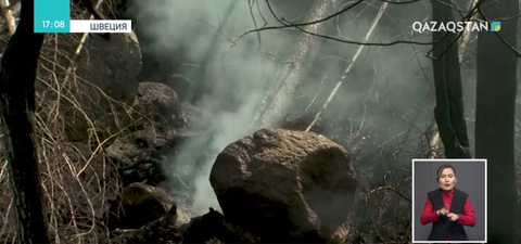 Швецияда орман өртін сөндіру үшін бомба тасталды