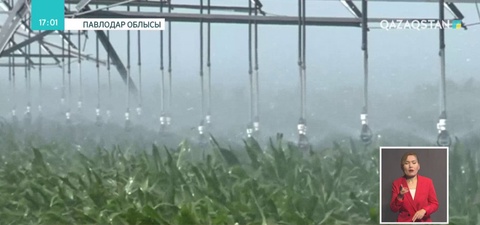 Павлодар облысында суармалы егіс алқаптарының көлемі ұлғайды