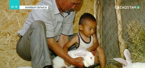Жамбыл облысында жетпістен асқан қария қоян өсіруді қолға алды