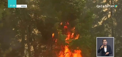 АҚШ-тың Калифорния штатында орман өртінен 6 адам қаза тапты