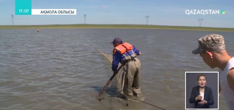 Ақмола облысының Зеренді ауданында балық шаруашылығы дамып келеді