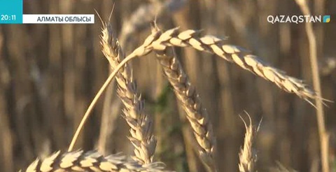 Аграрлық сала ғылымсыз дамымайды
