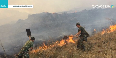 Жамбыл облысында орман өрті 3 тәуліктен бері өшкен жоқ