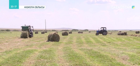 Ақмолалық шаруалар шөп шабу жұмыстарын бастады