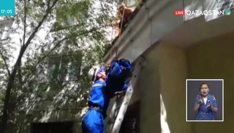 Қарағанды облысында  жыл басынан бері 14 бала терезеден құлап кеткен
