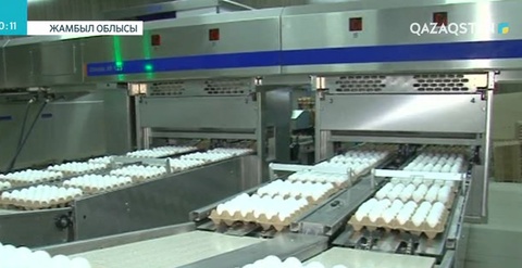 Мәжіліс депутаттары Жамбыл облысындағы әлеуметтік нысандарды аралады