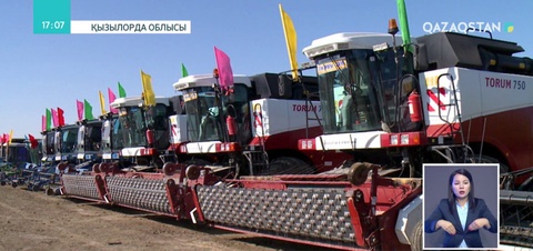 Қызылорда өңірінде күрішке орақ салу рәсімі басталды