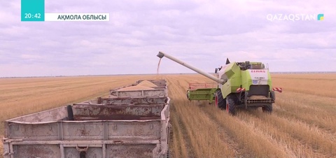 Солтүстік облыстарда астық жинау басталды