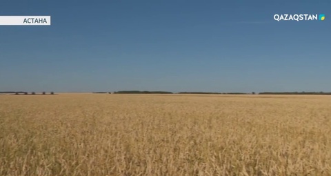 Соңғы 5 жылда «Цеснабанк» Қазақстандағы агробизнесті 219 миллиард теңгеге қаржыландырған