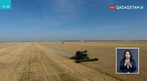 СҚО диқандары рекордтық көлемде астық жинауға ниетті