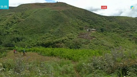 Колумбияда кокаин өндірісі едәуір артты