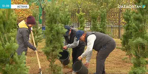 Қазақ телевизиясының 60 жылдық аллеясы ашылды