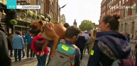 «Брекситке» қарсы шеруге тұрғындар мың ит алып шықты