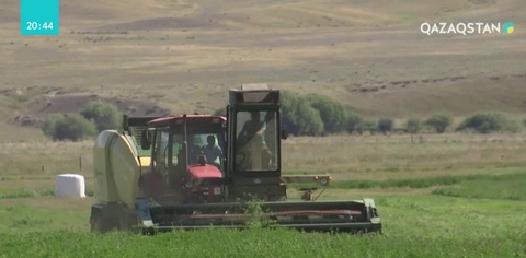 Агроөнеркәсіп кешенінің әлеуетін толық іске асыру керек