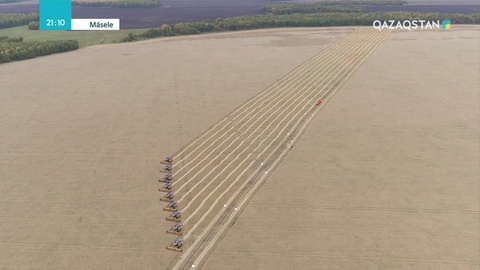 Егіншілердің еңбегі биыл тағы еш кетпей ме?