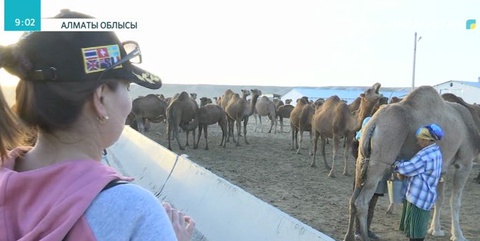 Алматы облысында агротуризм дамып келеді