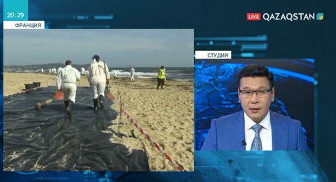 Ривьера жағалауына мұнай төгілді