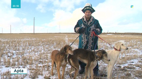 Қазақтың құмай тазысы «ортаазиялық борзая» атанып кетпей ме?