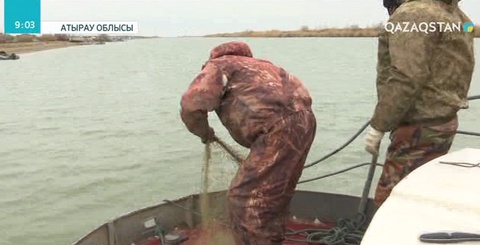 Атырауда заңсыз жолмен балық аулаушылар азаймай тұр