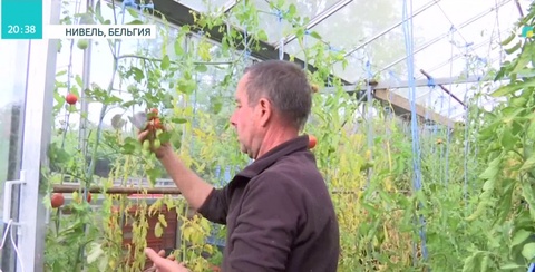 Еңбек етсең ерінбей...