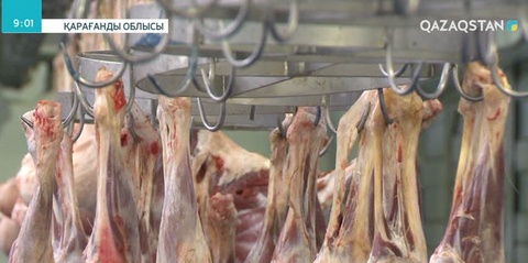 Қарағанды облысынан Қытай еліне 20 тонна мұздатылған қой еті экспортқа жіберілді