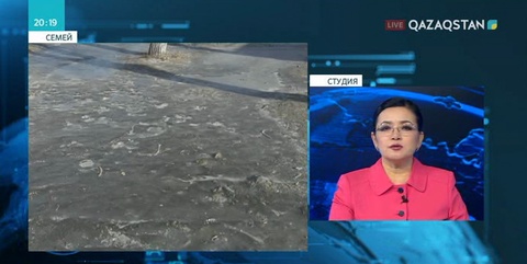 Семейде көктайғаққа байланысты оқушылар үшін сабақ доғарылды