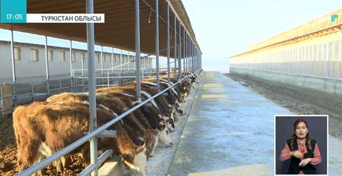 Агроөнеркәсіпке қаржы екі есе көп бөлінеді