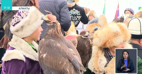 Алматыда Құсбегіліктен II ашық Азия чемпионаты өтті