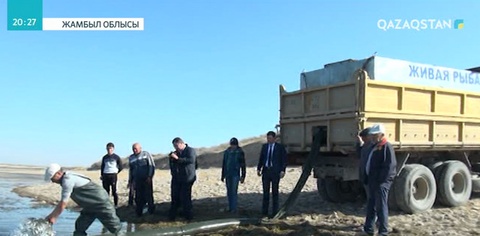 Жамбыл облысында балық шаруашылығын дамытқысы келетін азаматтарға несие беріле бастады