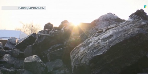 Көмір болмаған соң, тұрғындар тоғайды отап жатыр