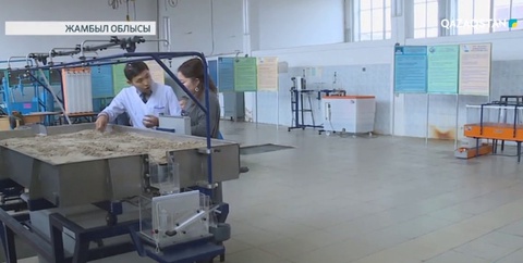 Жамбылдық жас ғалым егістік алқаптарын қайта қалпына келтіретін тыңайтқыш зат ойлап тапты