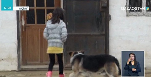 Ақтауда біреудің жеріне ұрланып кірген ер адамды ит талап өлтірді