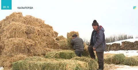 Қызылордада «Бизнес бастау» жобасы сәтті жүзеге асырылуда
