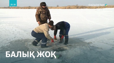 Жайық өзенінде балық азайып кеткен