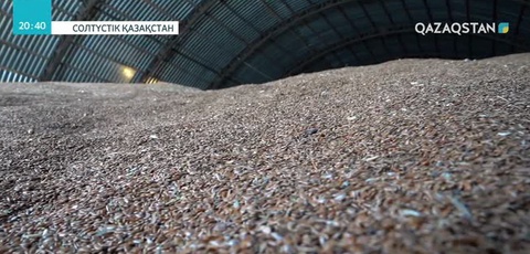 Теріскейлік диқандар 37 мемлекетке жарты миллион тоннадан астам майлы дақыл экспорттады
