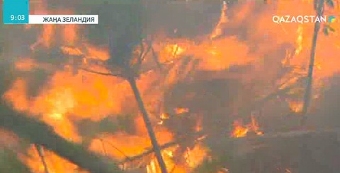 Жаңа Зеландияда орман өртінің кесірінен 3 мыңдай адам қауіпсіз жерге көшірілді