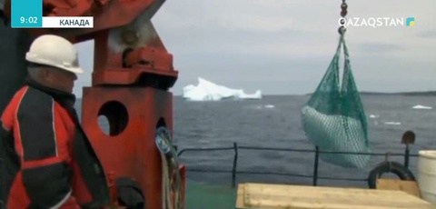 Канадада құны 9 мың доллар болатын айсберг суы ұрланды