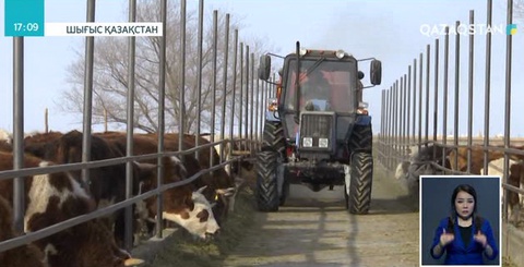 Шығыс Қазақстан облысындағы шаруаларға субсидия жетпей жатыр