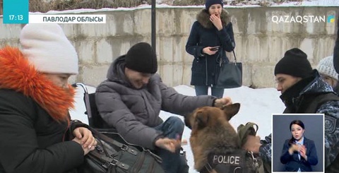 Павлодарлық полицейлер иппотерапияны дамытуға үлес қоспақ
